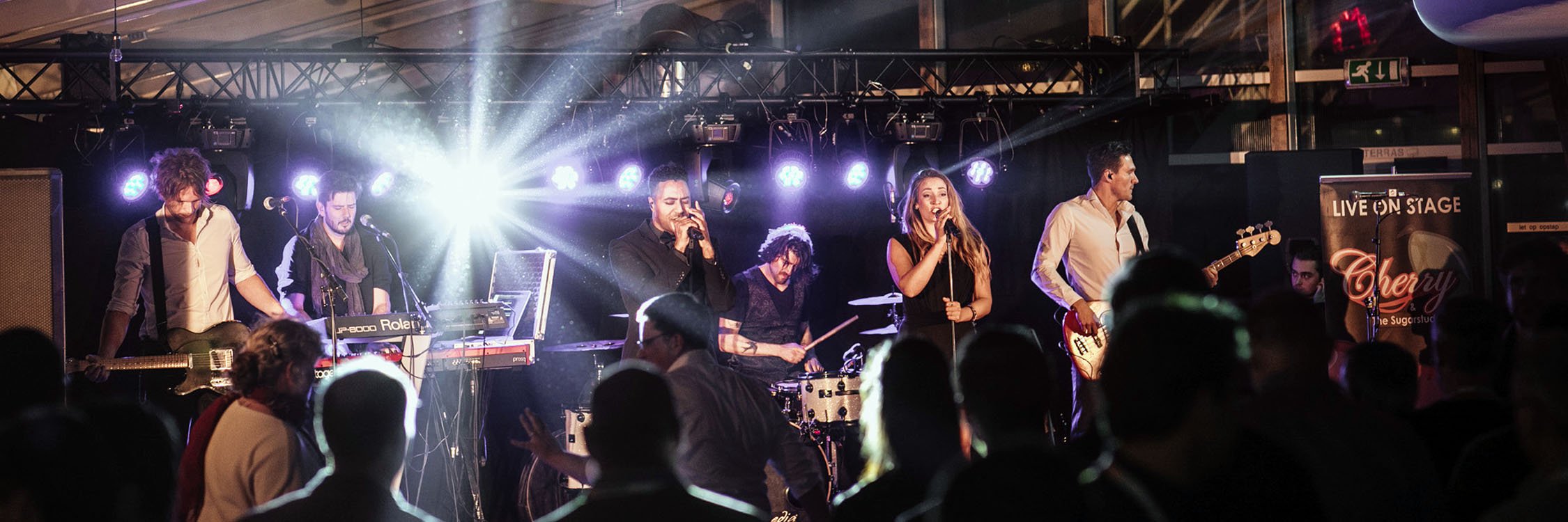 DePier location cat slider 4.jpg