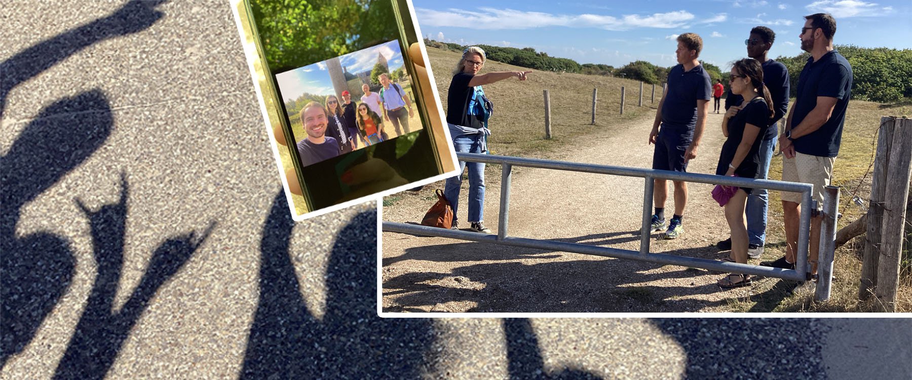 Duindropping Zeeland3.jpg