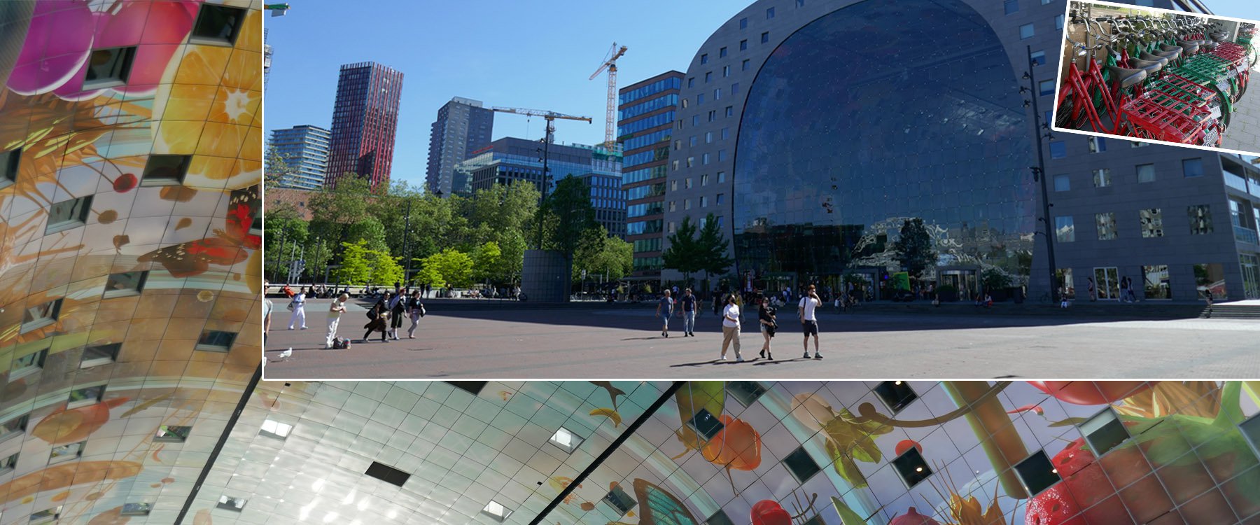 Gids Fietstocht Rotterdam slider 3.jpg