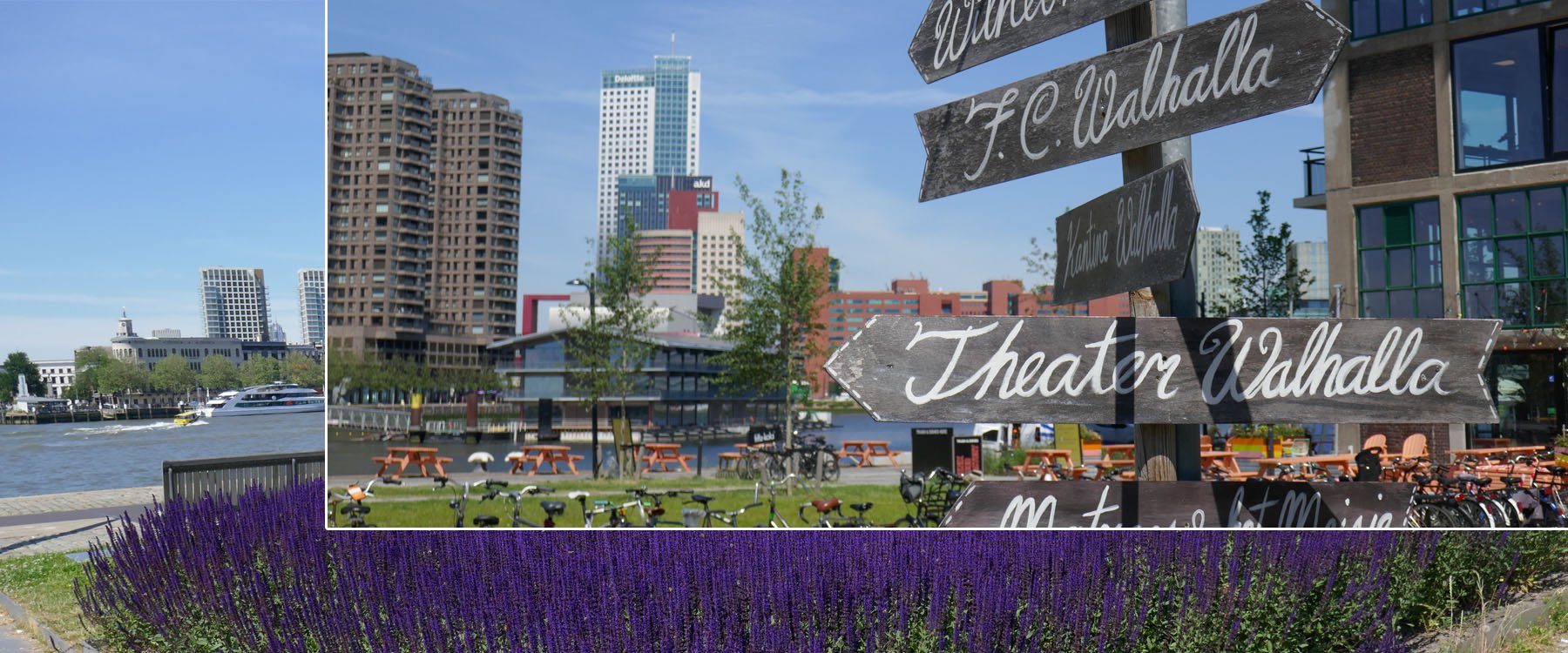 Gids Fietstocht Rotterdam slider 5.jpg